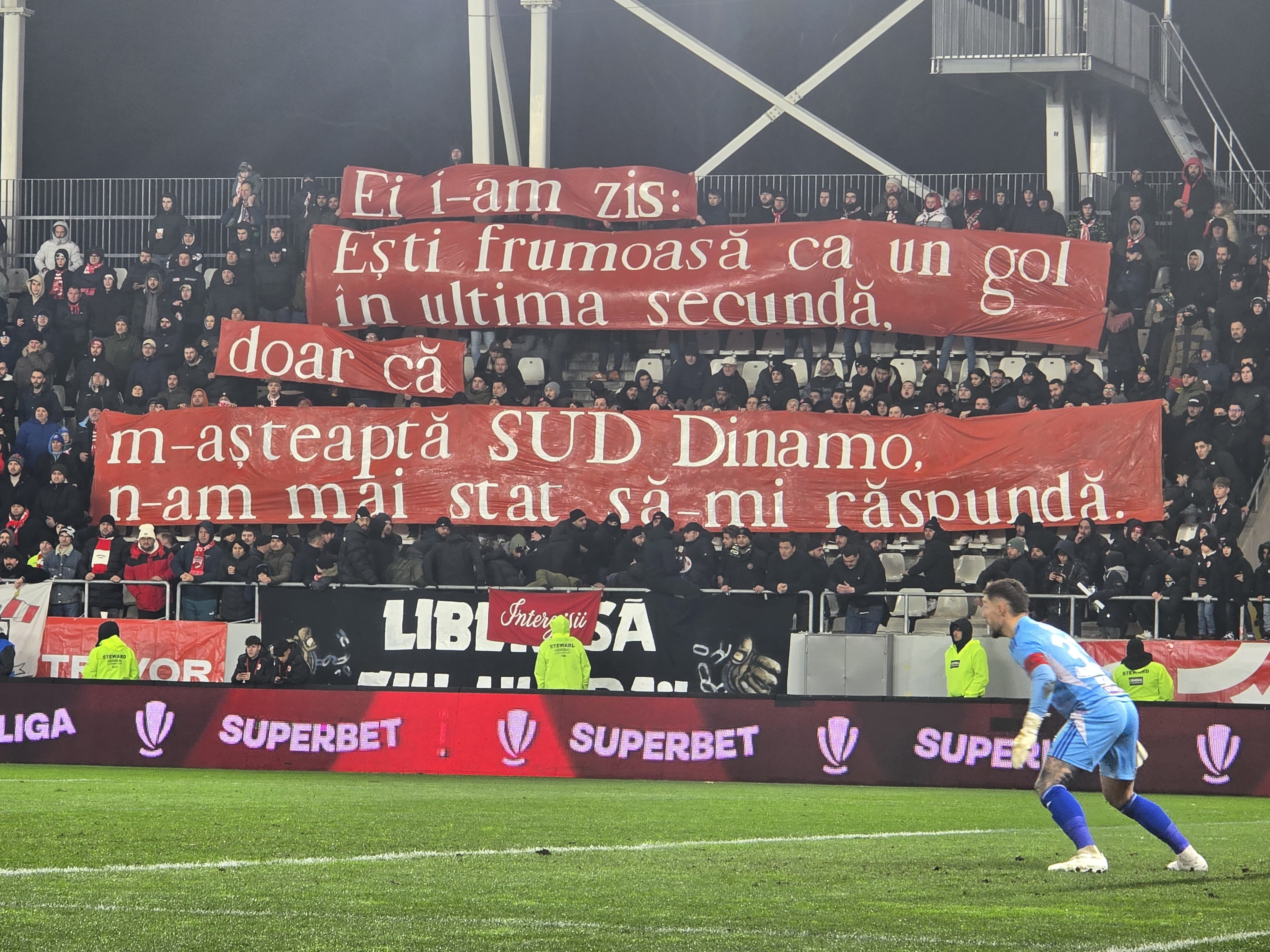 Mesaj galeria Dinamo / Foto: Raed Krishan - GOLAZO.ro